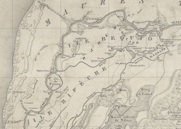 Détail carte de la banlieue de St Louis, du Oualo, du N Diambour levée et dressée par M. Bois, capitaine d'état-major; assisté de M. Frey, sous-lieutenant d'infanterie de marine en 1870