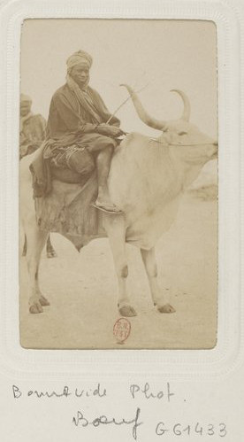 1885 senegal photo Bonneville(Source:Galica - BNF)